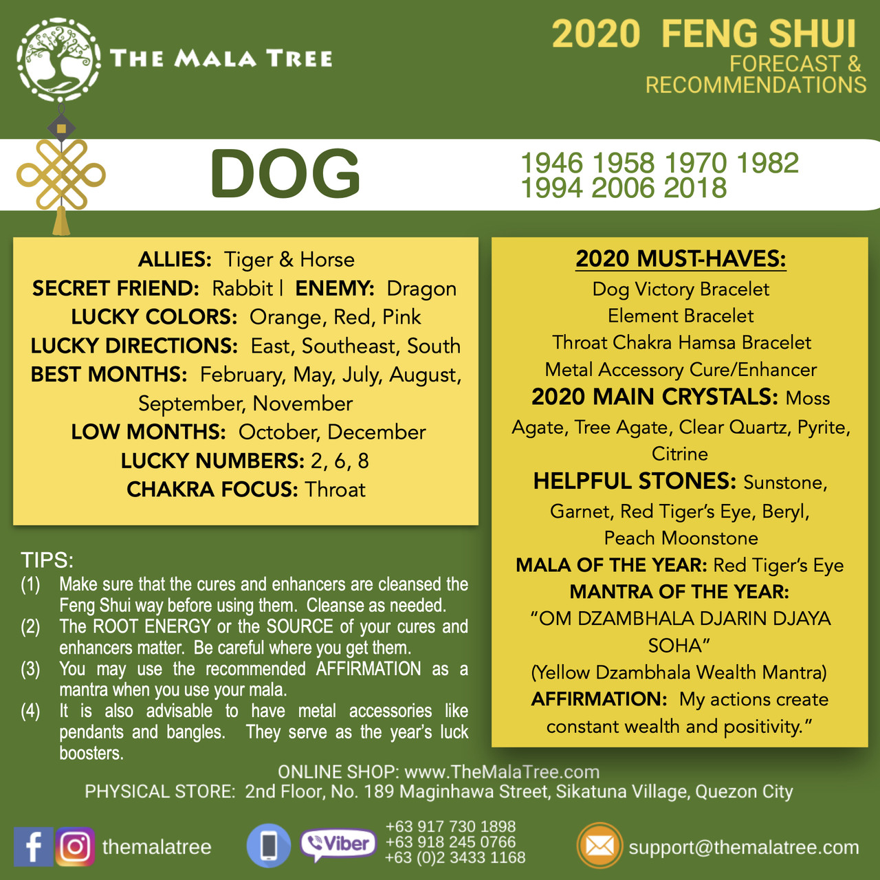 DOG in 2020 DOG in 2020